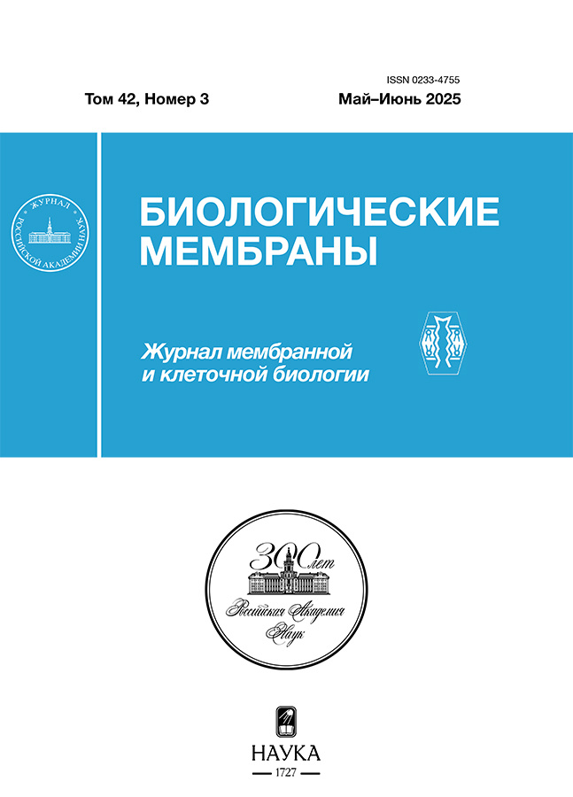 Логотип Заголовка Страницы