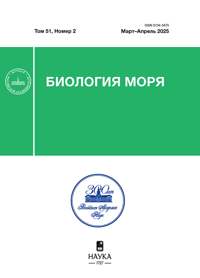 Логотип Заголовка Страницы