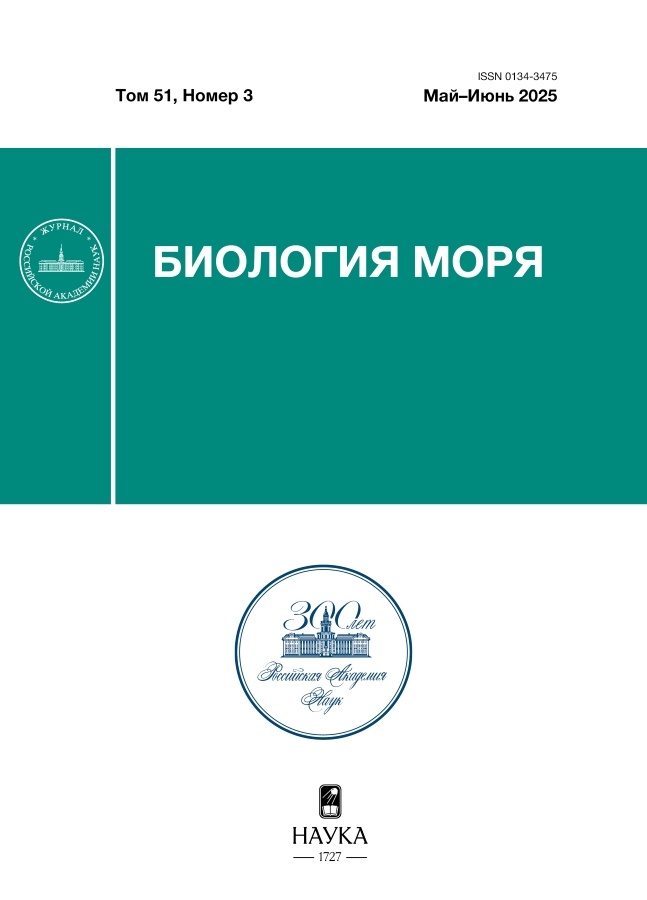 Логотип Заголовка Страницы