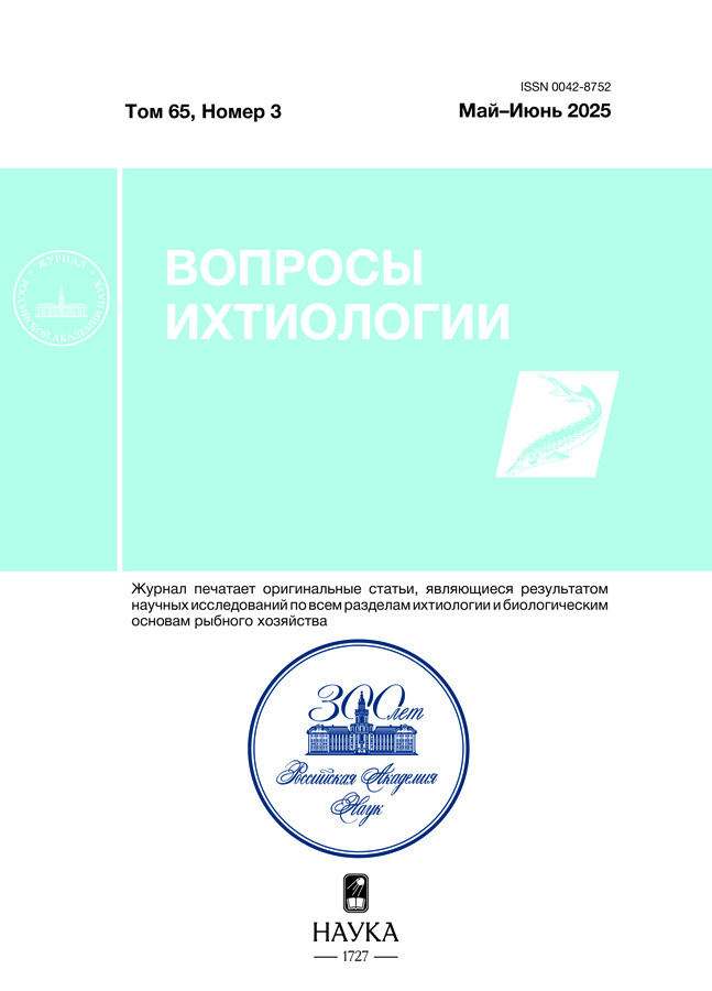 Логотип Заголовка Страницы