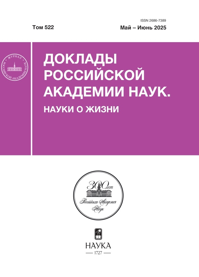 Логотип Заголовка Страницы