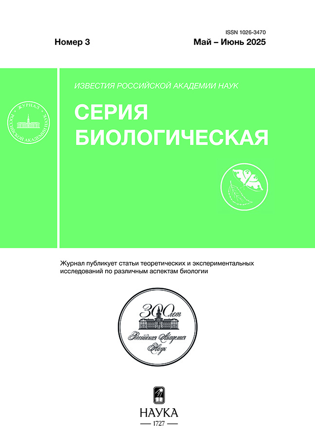 Логотип Заголовка Страницы