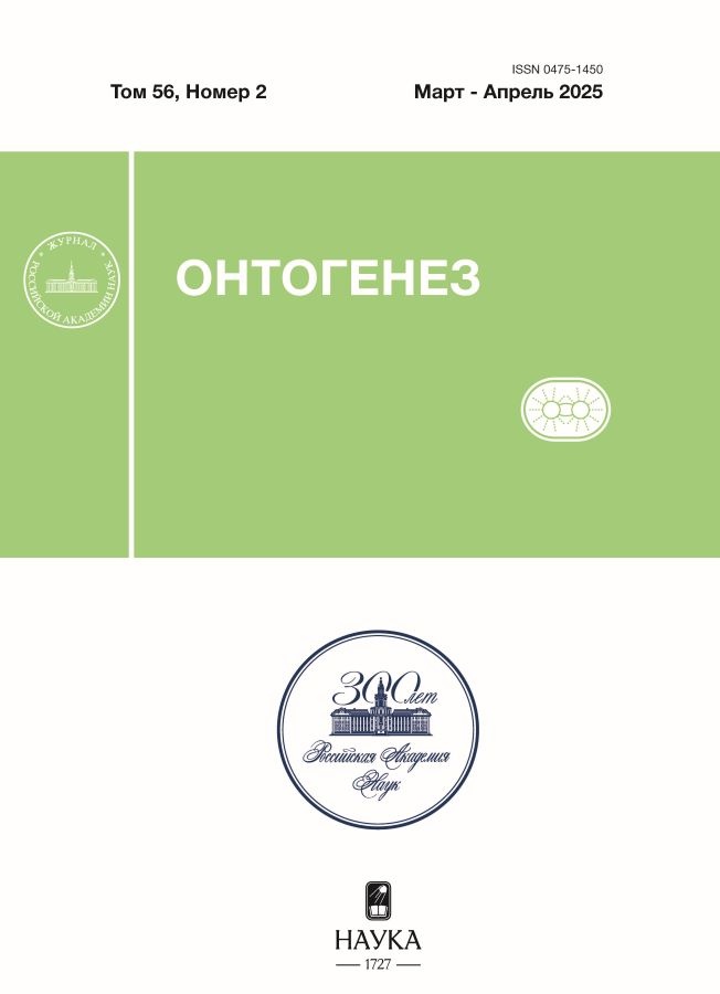 Логотип Заголовка Страницы