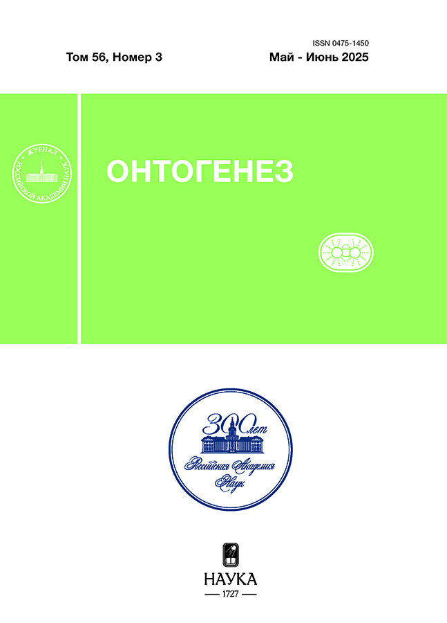 Логотип Заголовка Страницы