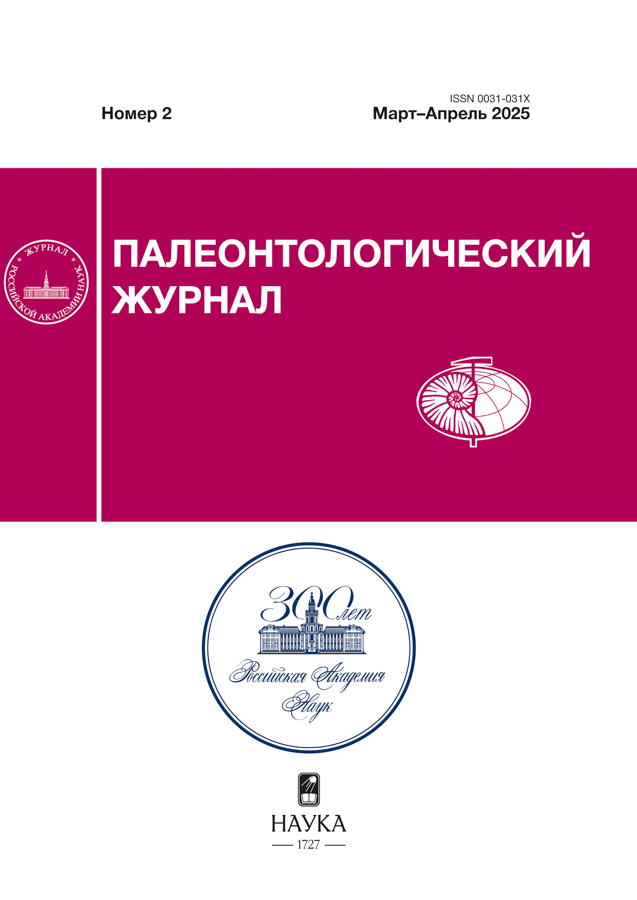 Логотип Заголовка Страницы