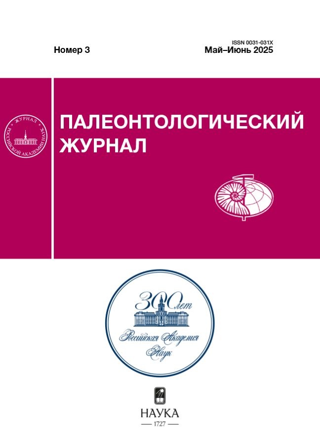 Логотип Заголовка Страницы