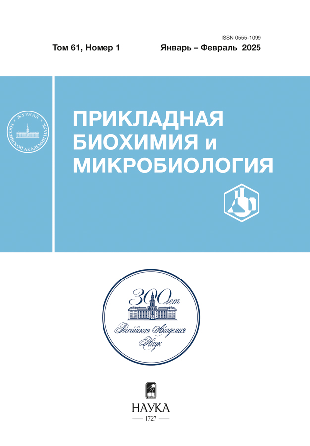 Логотип Заголовка Страницы