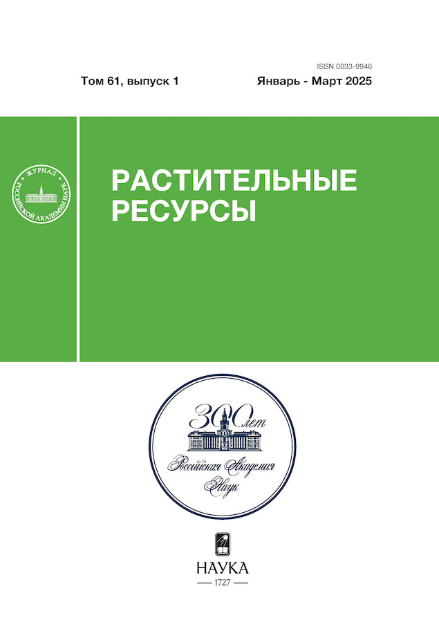 Логотип Заголовка Страницы