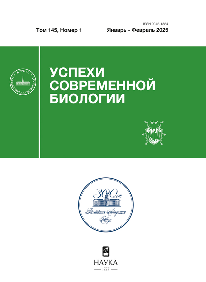 Логотип Заголовка Страницы