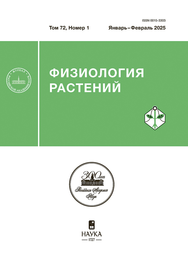 Логотип Заголовка Страницы