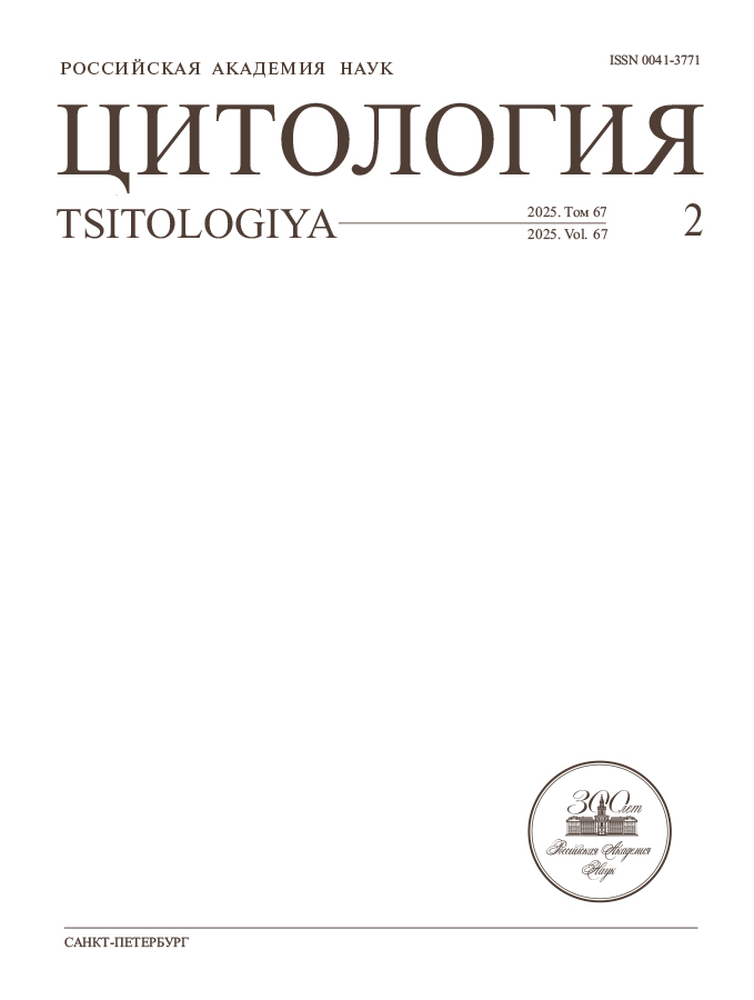 Логотип Заголовка Страницы